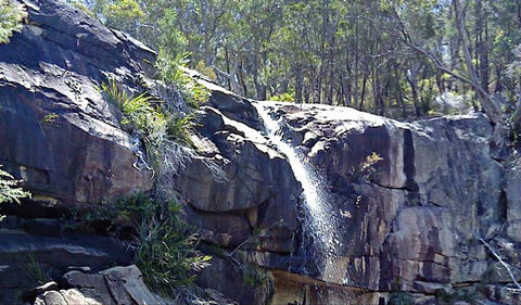 Ugly Corner Falls Walking Track - C Tourism 0