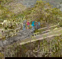 Walpole Wilderness Discovery Centre - C Tourism