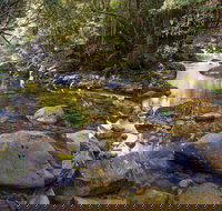 Washpool Walking Track - C Tourism