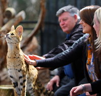 Werribee Open Range Zoo - C Tourism