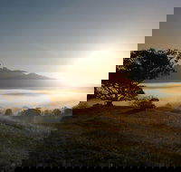 Wollumbin-Mount Warning National Park - C Tourism