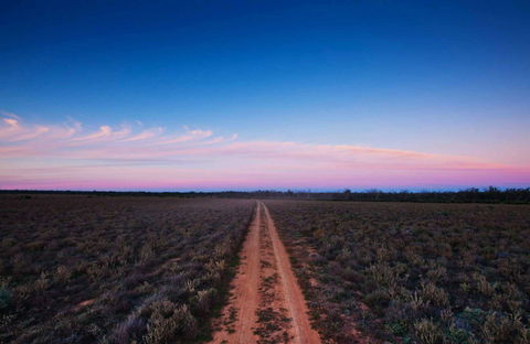 Yanga National Park - C Tourism 0