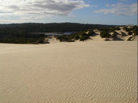 Yeagerup Sand Dunes - C Tourism 0