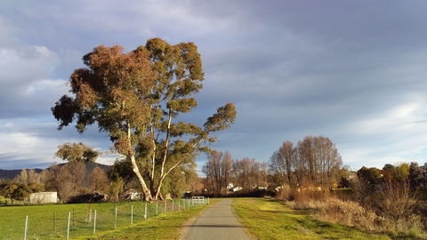 Adelong Falls Walk - C Tourism 0