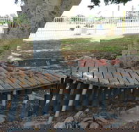 Barcaldine Musical Instruments - C Tourism