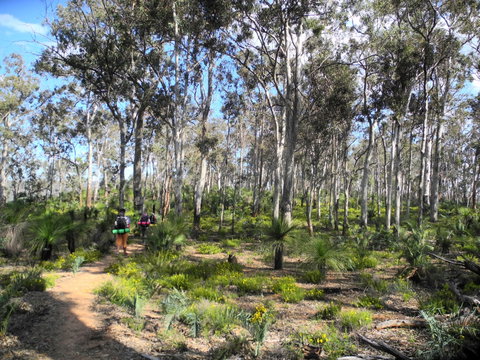 Bibbulmun Track - C Tourism 1