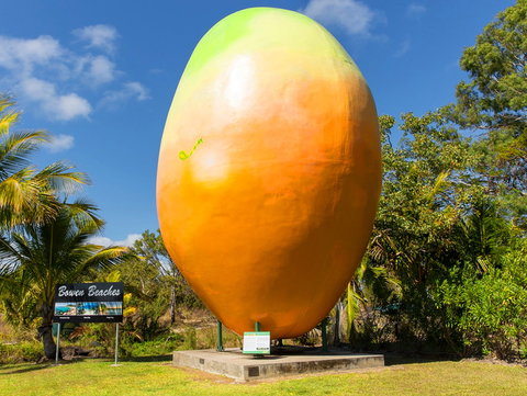 Big Mango - C Tourism 0