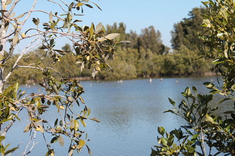 Boyters Lane Bird Hide - C Tourism 2
