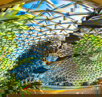 Brisbane Botanic Gardens Mount Coot-tha - C Tourism