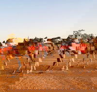 Broken Hill Camels - C Tourism