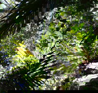 Byrrill Creek Walking Track - C Tourism