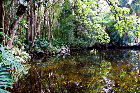 Cascade Gardens - C Tourism 2