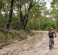 Cawleys Road trail - C Tourism