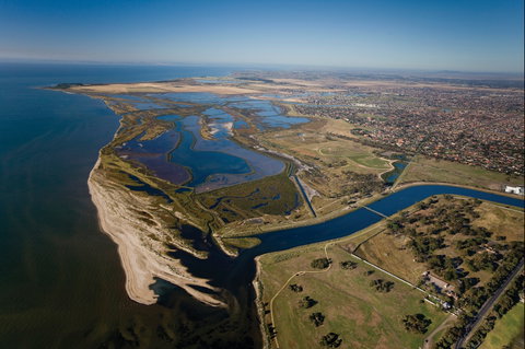 Cheetham Wetlands - C Tourism 0