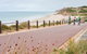 Coast To Vines Rail Trail - thumb 0