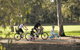 Coast To Vines Rail Trail - thumb 1