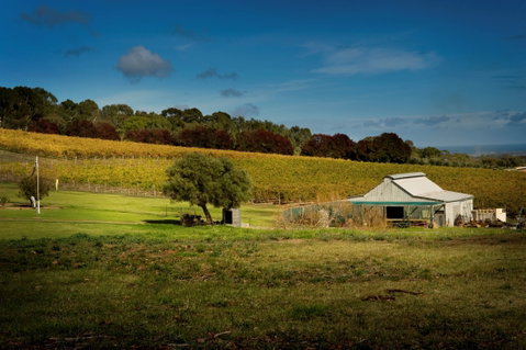 Coast To Vines Rail Trail - C Tourism 2