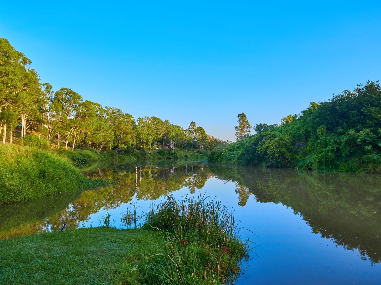 Bellbowrie QLD C Tourism