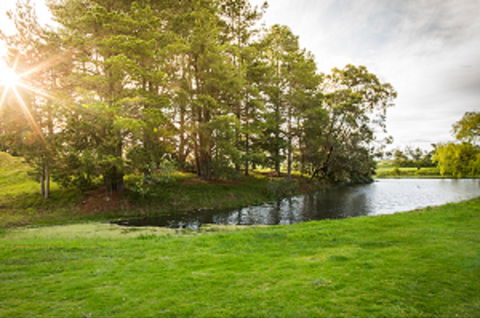 Curlewis Golf Club & The Range At Curlewis The Bellarine - C Tourism 1