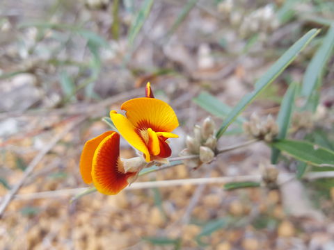 Dawn Atwell Nature Reserve - C Tourism 1