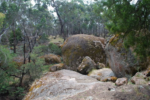 Dergholm State Park - C Tourism 0