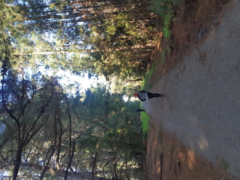 Devilbend Natural Features Reserve - C Tourism 1