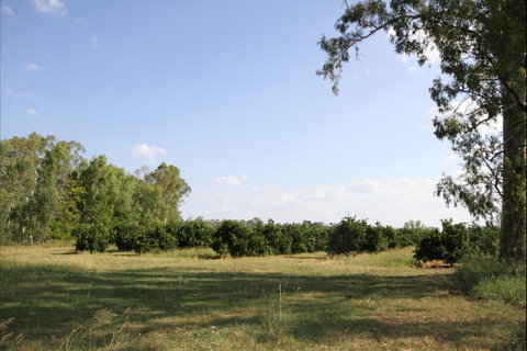 Dululu - C Tourism 1