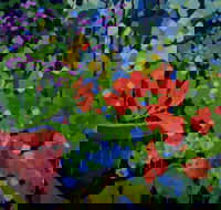 Ferry Artists Gallery - C Tourism