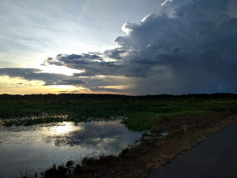 Fogg Dam Conservation Reserve - C Tourism 2