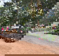 Fred's Pass Rural Market - C Tourism