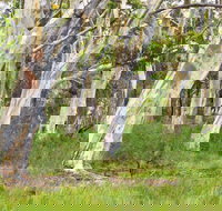 Freshwater track - C Tourism