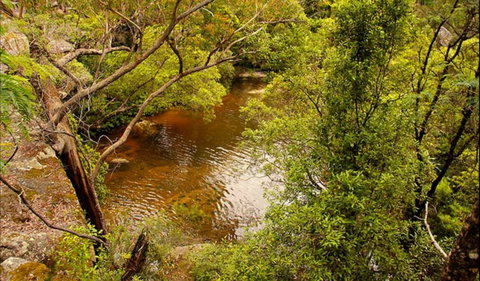 Girrakool Loop Track - C Tourism 0