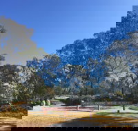 Grenfell Endemic Garden - C Tourism