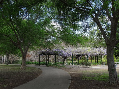 Hanna Park - C Tourism 1