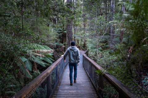 Hastings Caves And Thermal Springs - C Tourism 1