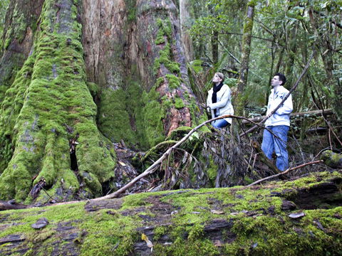 Hastings Caves And Thermal Springs - C Tourism 2