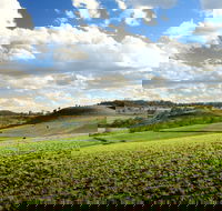 Hodgson Vale - C Tourism
