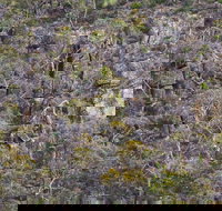 Horsnell Gully and Giles Conservation Parks - C Tourism