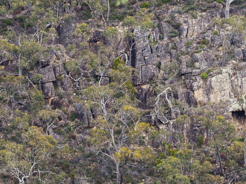 Horsnell Gully And Giles Conservation Parks - C Tourism 0