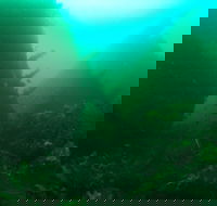 Investigator Strait Shipwreck Trail - C Tourism