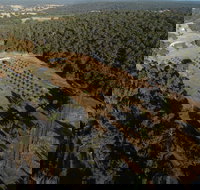 Julimar Date Garden - C Tourism