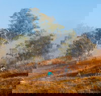 Kambah Pool to Pine Island Walking Trail - C Tourism