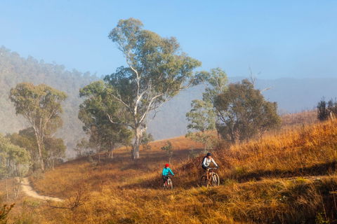 Kambah Pool To Pine Island Walking Trail - C Tourism 0