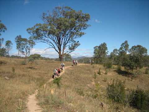 Kambah Pool To Pine Island Walking Trail - C Tourism 1