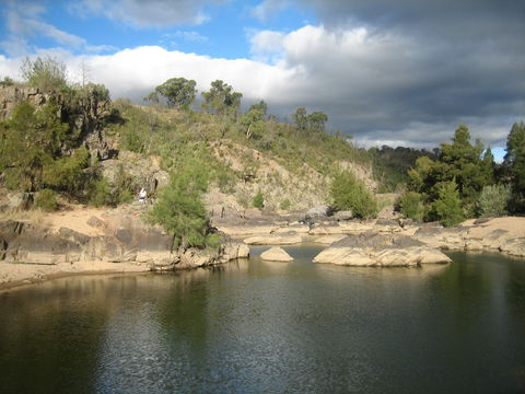 Kambah Pool To Pine Island Walking Trail - C Tourism 2