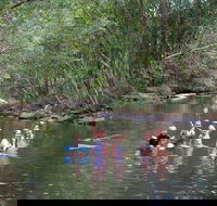 Kerewong State Forest - C Tourism