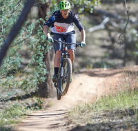 Kidsons Cycles - C Tourism
