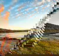 Killalea Reserve - C Tourism