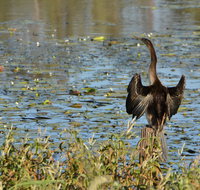 Lake Apex Park - C Tourism