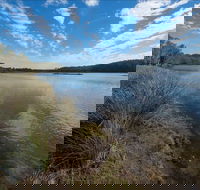Lake Innes Nature Reserve - C Tourism